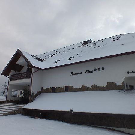 Pensiunea Eliza Hotel Podu Cosnii Exterior photo